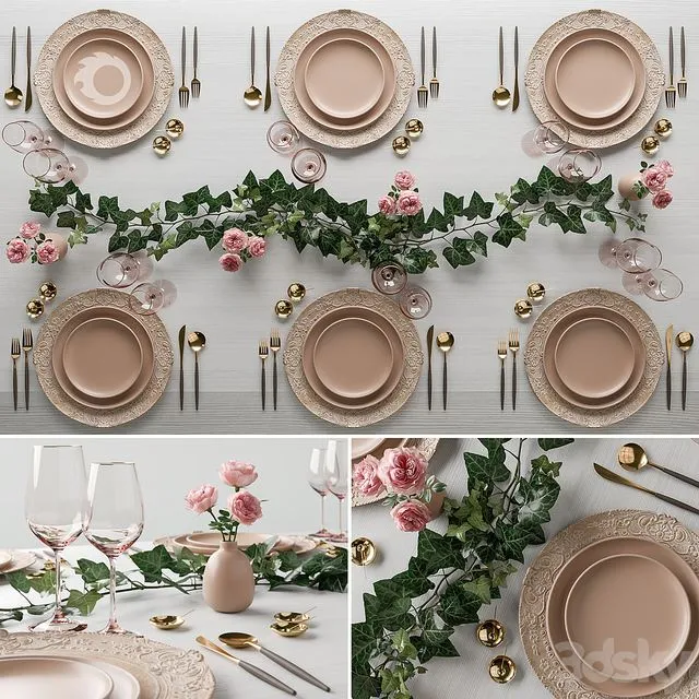 Surgeon wedding set (dishes by Casa de Perrin) 3D Model