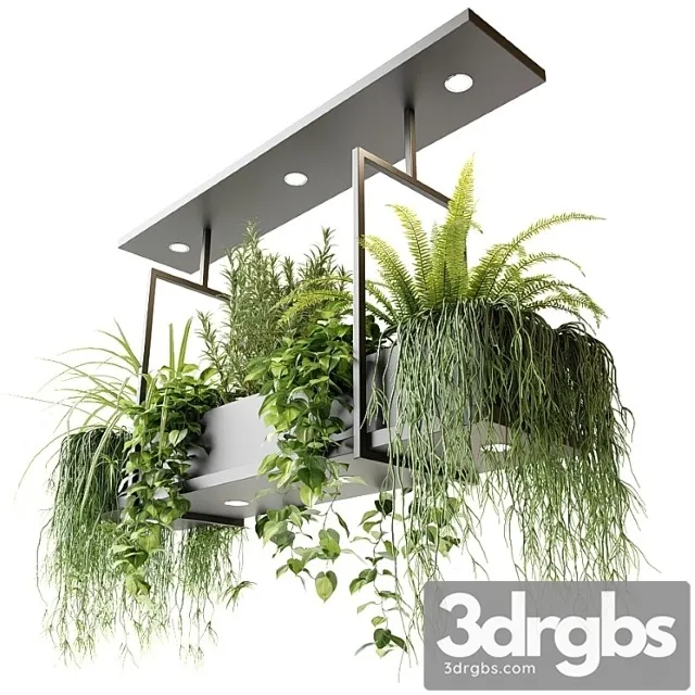 Suspended luminaire with plants oslo 3D Model Download