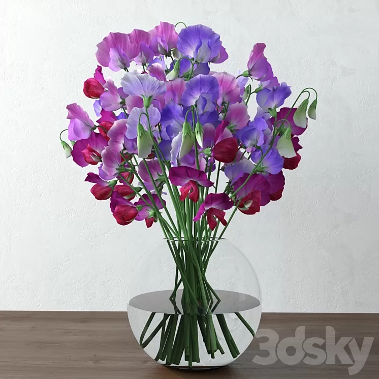 Sweet pea 3D Model Sweet pea 3D Model