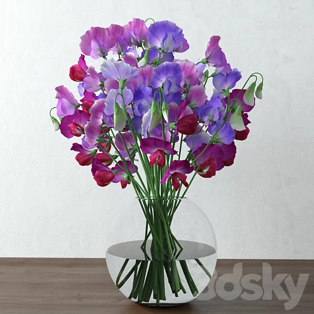 Sweet pea 3DModel Sweet pea 3DModel
