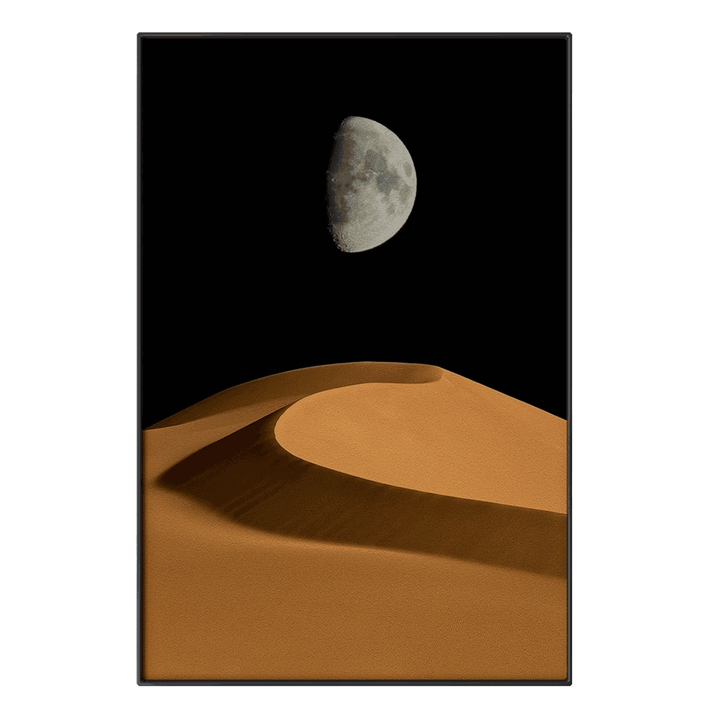 Systemtronic – Picture PTZ44 3D Model