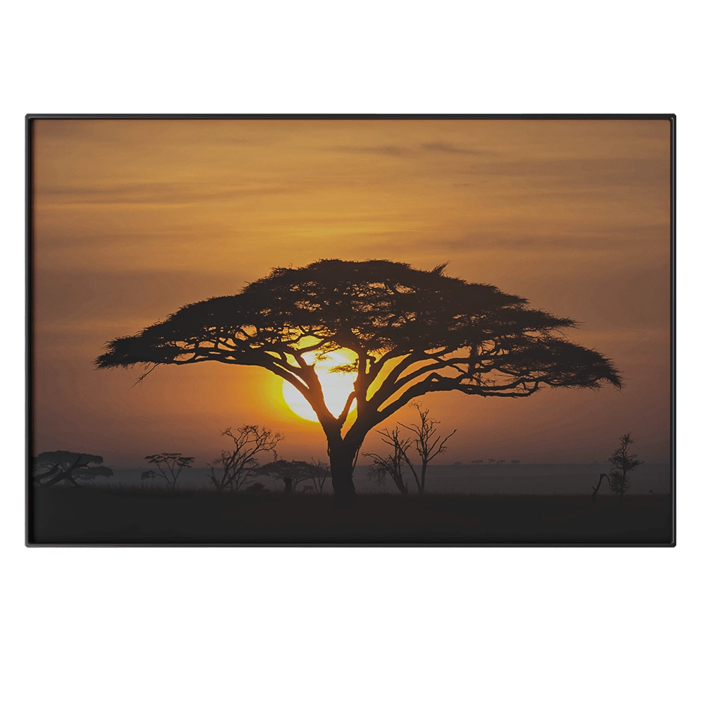 Systemtronic – Picture PTZ46 3D Model