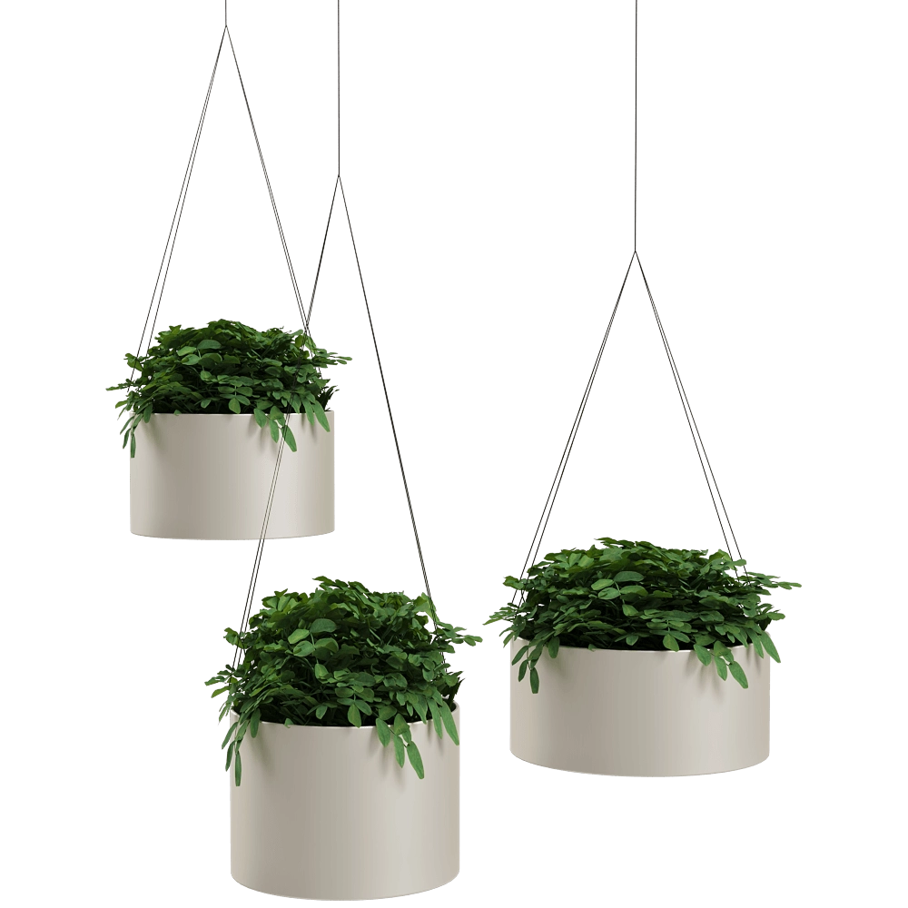 Systemtronic – Plant pots Green Cloud 3D Model