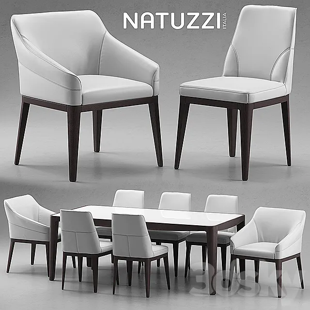Table and chairs Natuzzi minerva. Saturno. Vesta 3DModel