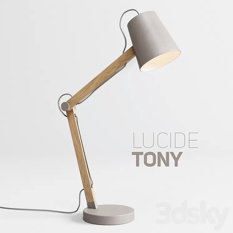 Table lamp LUCIDE TONY 3D Model Table lamp LUCIDE TONY 3D Model