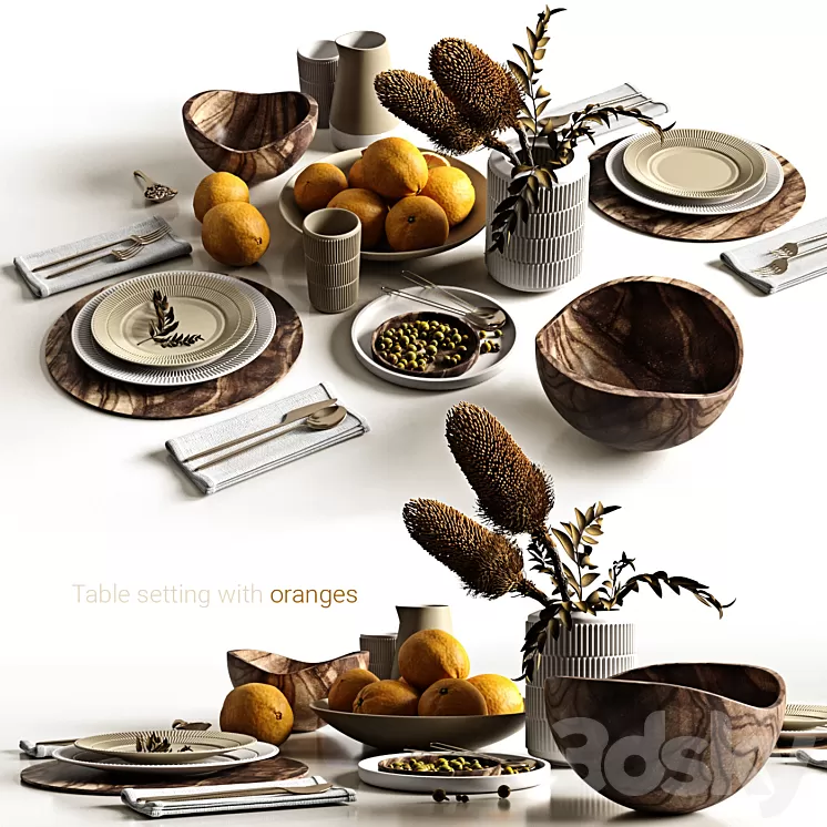 Table setting with oranges 3D Model