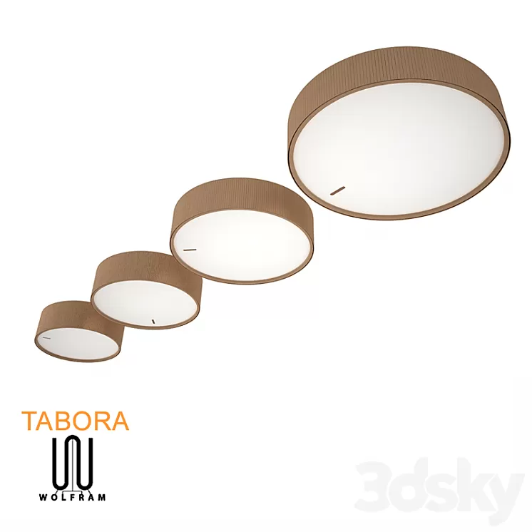 TABORA 3D Model