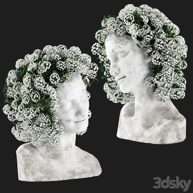 Taiki’s Head 3D Model Taiki’s Head 3D Model