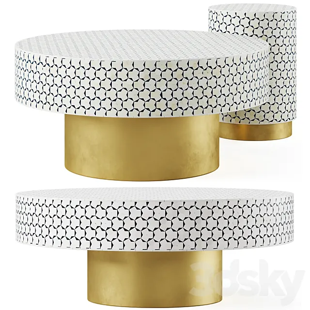 Targua Inlay Coffee Table by Anthropologie 3D Model