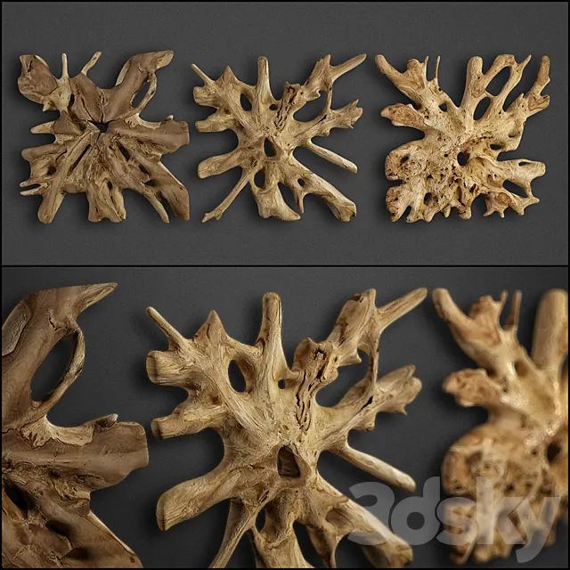 teak root 3D Model teak root 3D Model