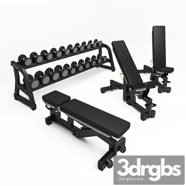 Technogym Pure Strength Adjustable Bench Free Weights Dumbbells 3D Model Download