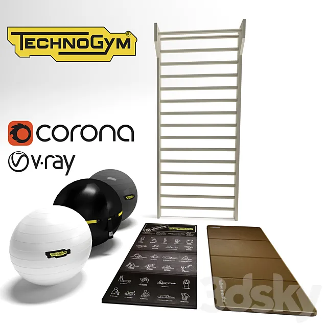 Technogym Tools 3D Model