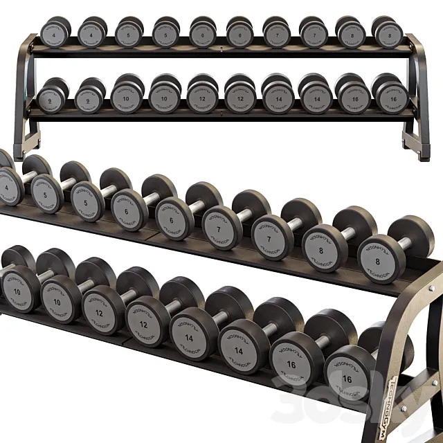 Technogym Two Tier Dumbbell Rack Free Download