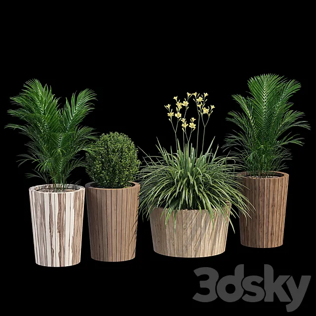 Tennis 3DModel Tennis 3DModel