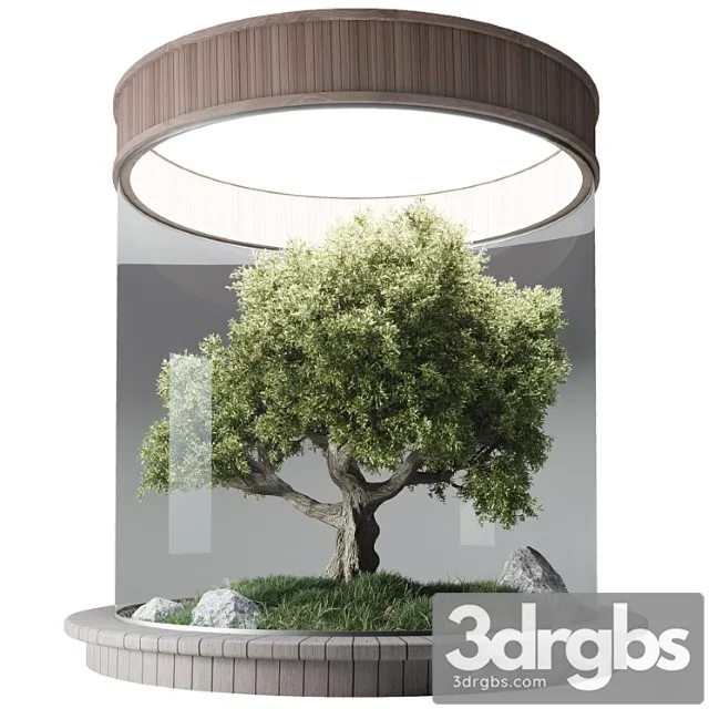 Terrarium ?3 Terrarium ?3