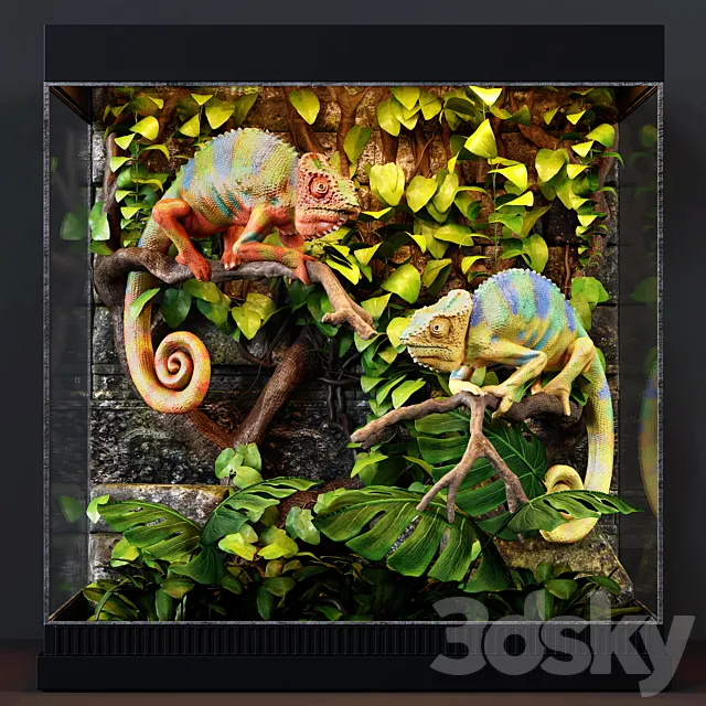 Terrarium 3D Model Terrarium 3D Model