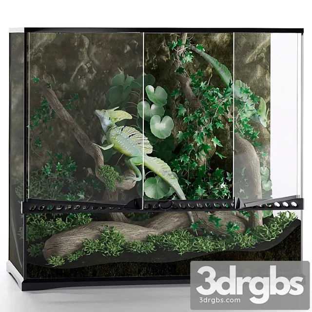 Terrarium basilisk 3D Model Download