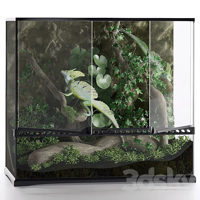 Terrarium Basilisk 3D Model Terrarium Basilisk 3D Model