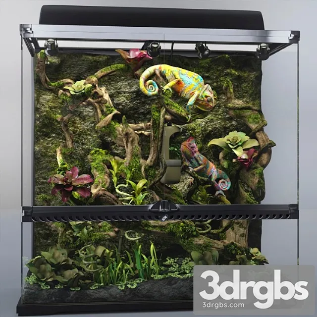 Terrarium exo-terra with chameleons 3D Model Download