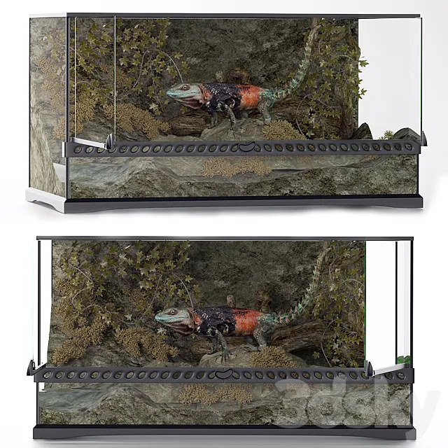 Terrarium iguana 3D Model Terrarium iguana 3D Model
