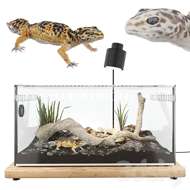 Terrarium with geckos 3DModel Terrarium with geckos 3DModel