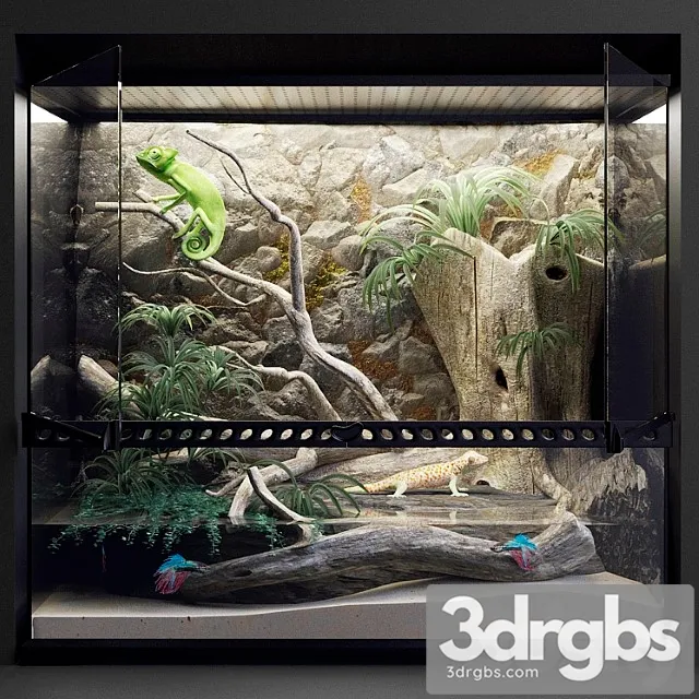 Terrarium_2 3D Model Download