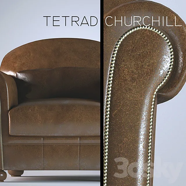 TETRAD Churchill 3D Model TETRAD Churchill 3D Model