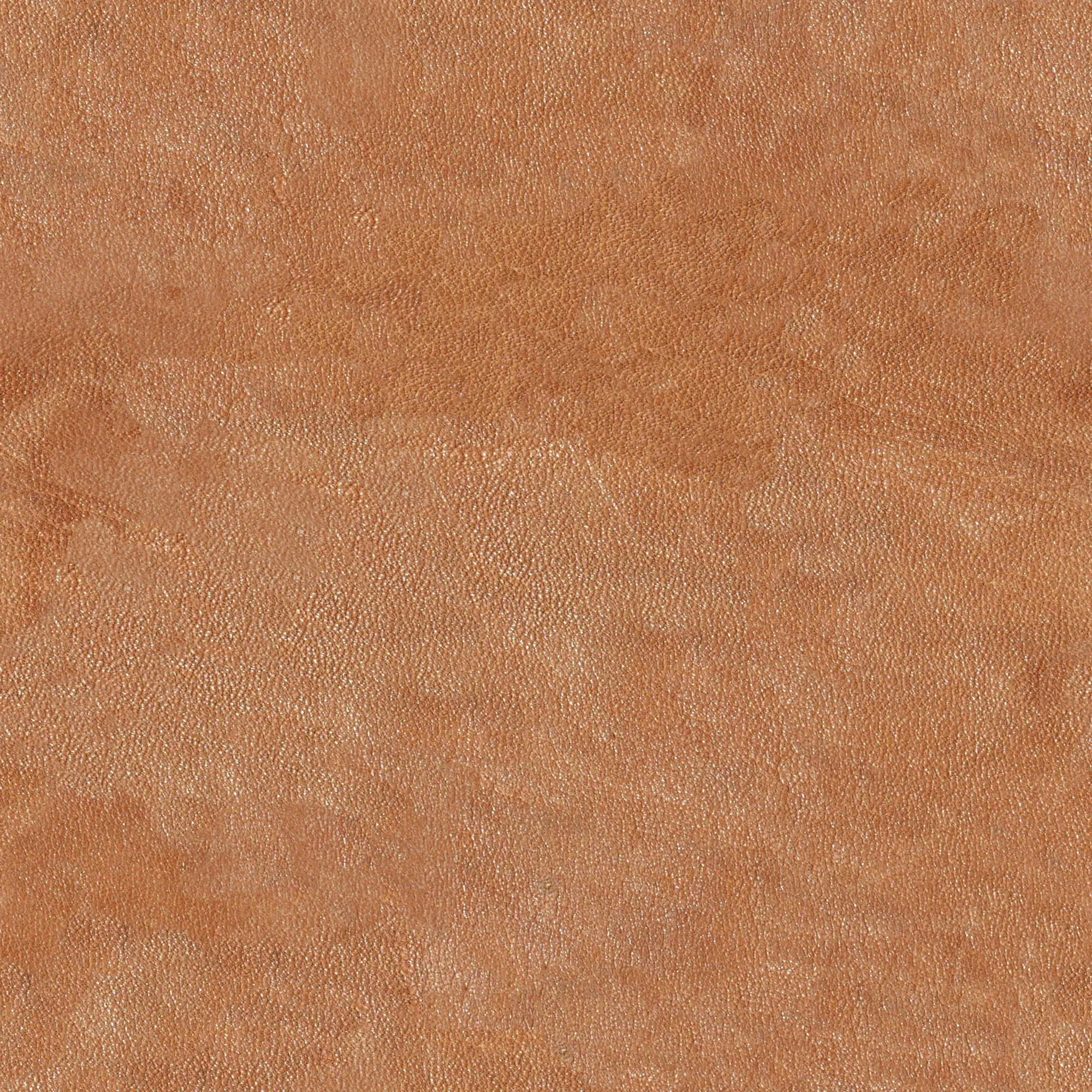 textures – Leather 16 3D Model