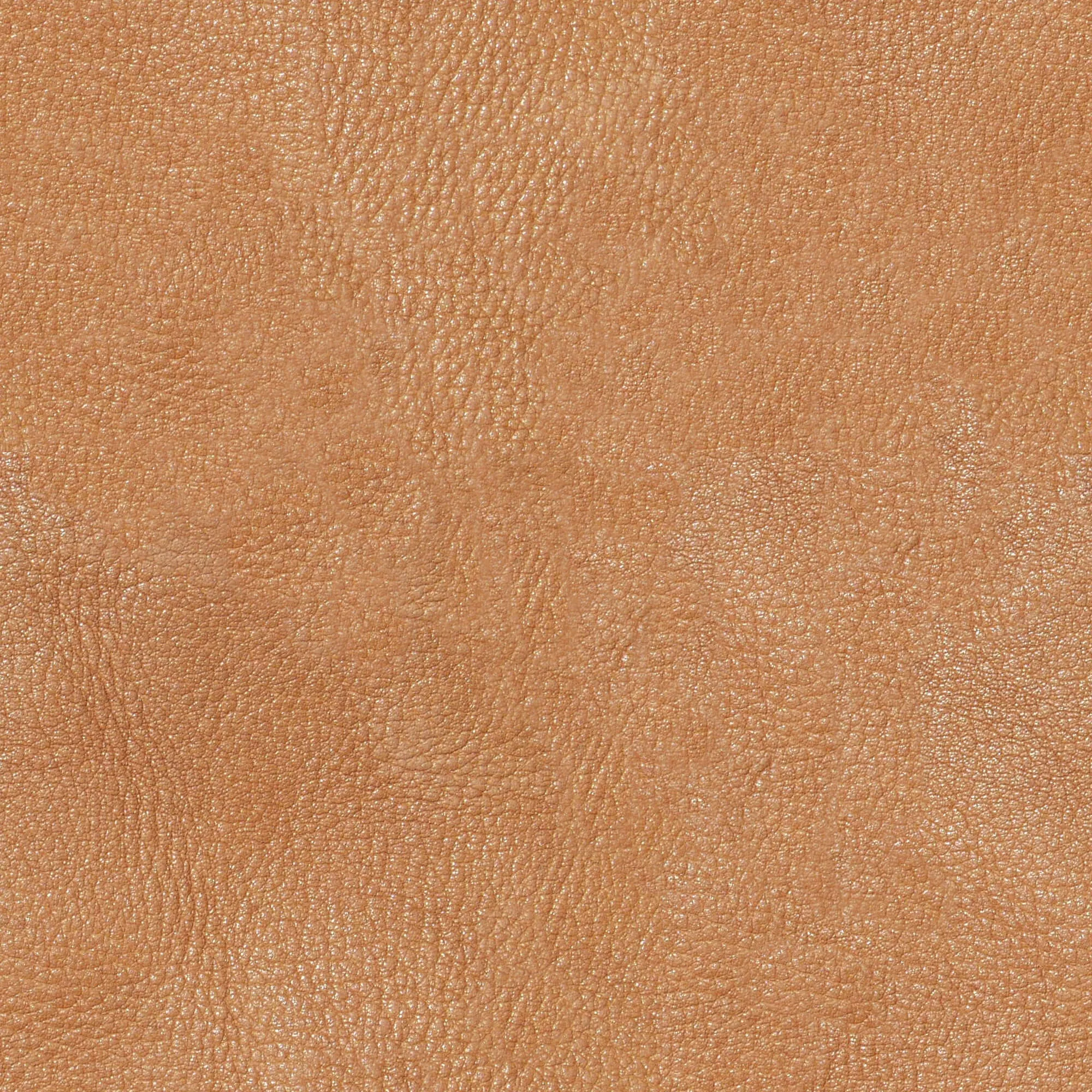 textures – Leather 22 3D Model