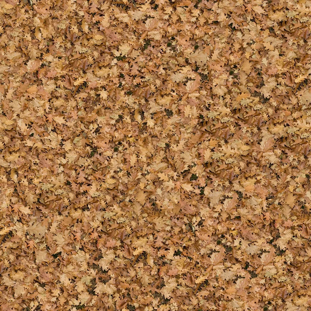 textures – Organic 1 3D Model