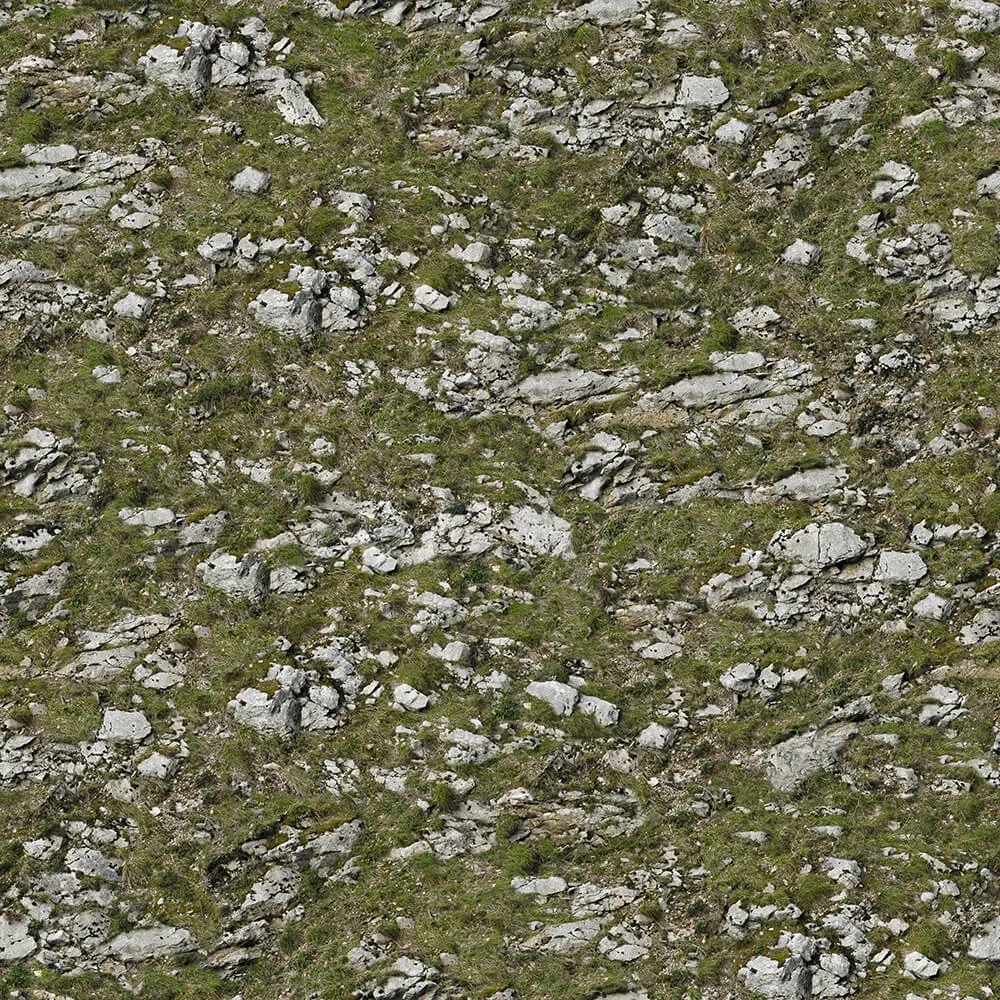 textures – Organic 11 3D Model textures – Organic 11 3D Model