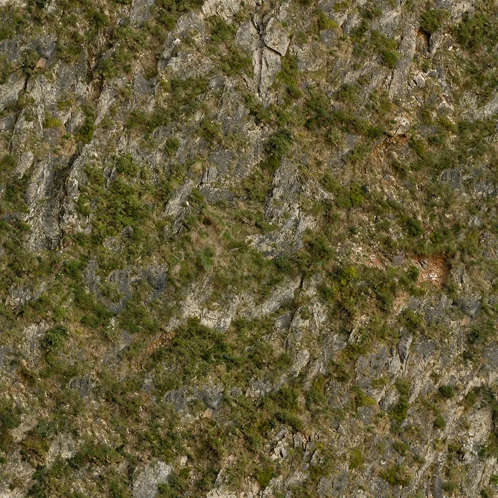 textures – Organic 13 3D Model textures – Organic 13 3D Model