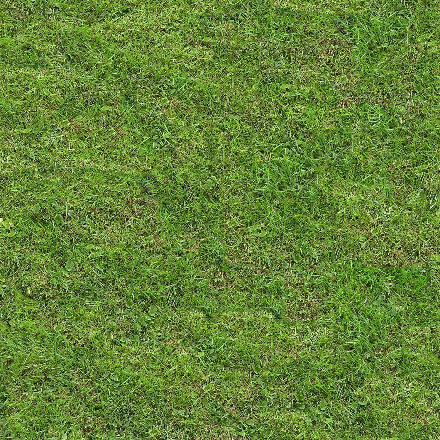 textures – Organic 14 3D Model textures – Organic 14 3D Model