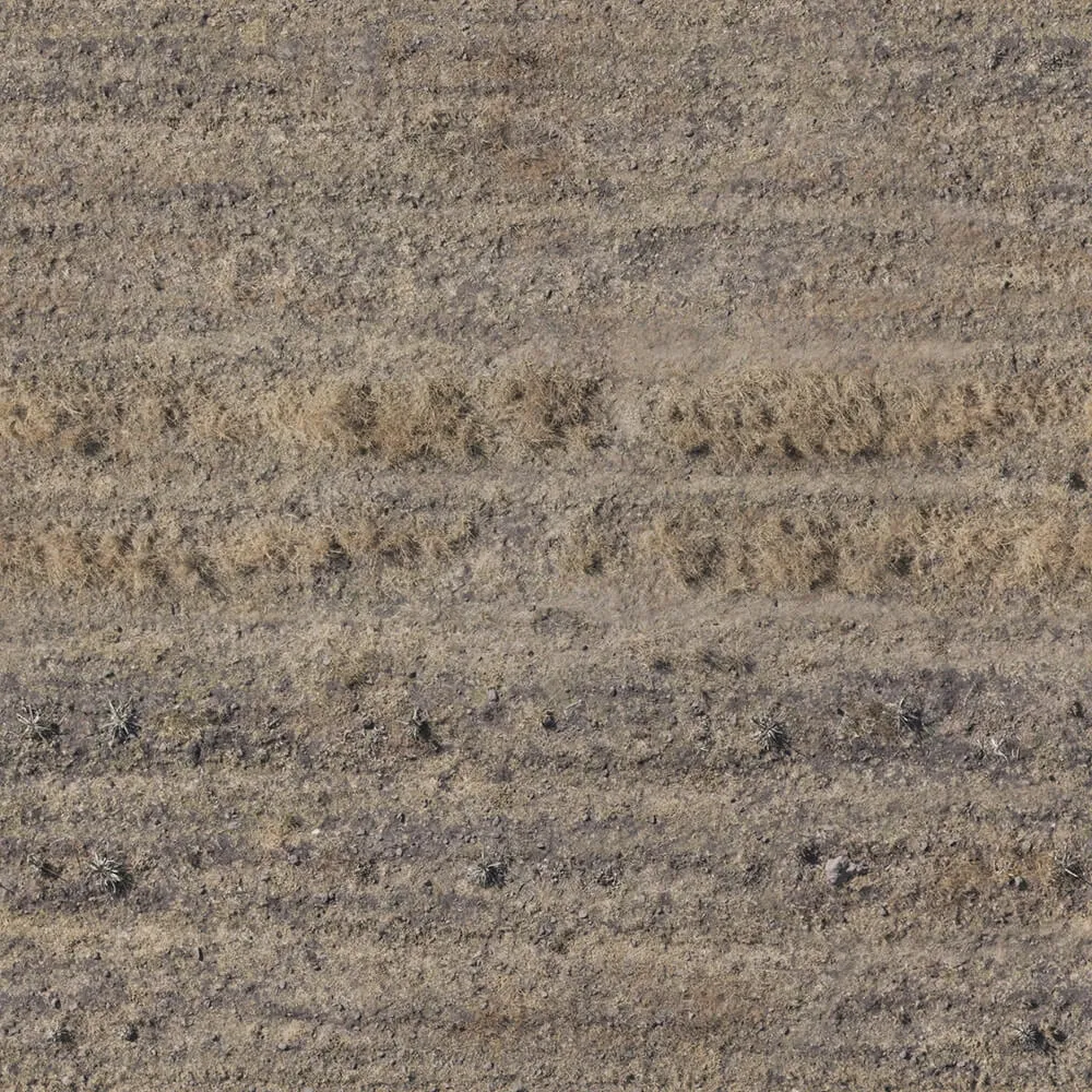 textures – Organic 20 3D Model textures – Organic 20 3D Model