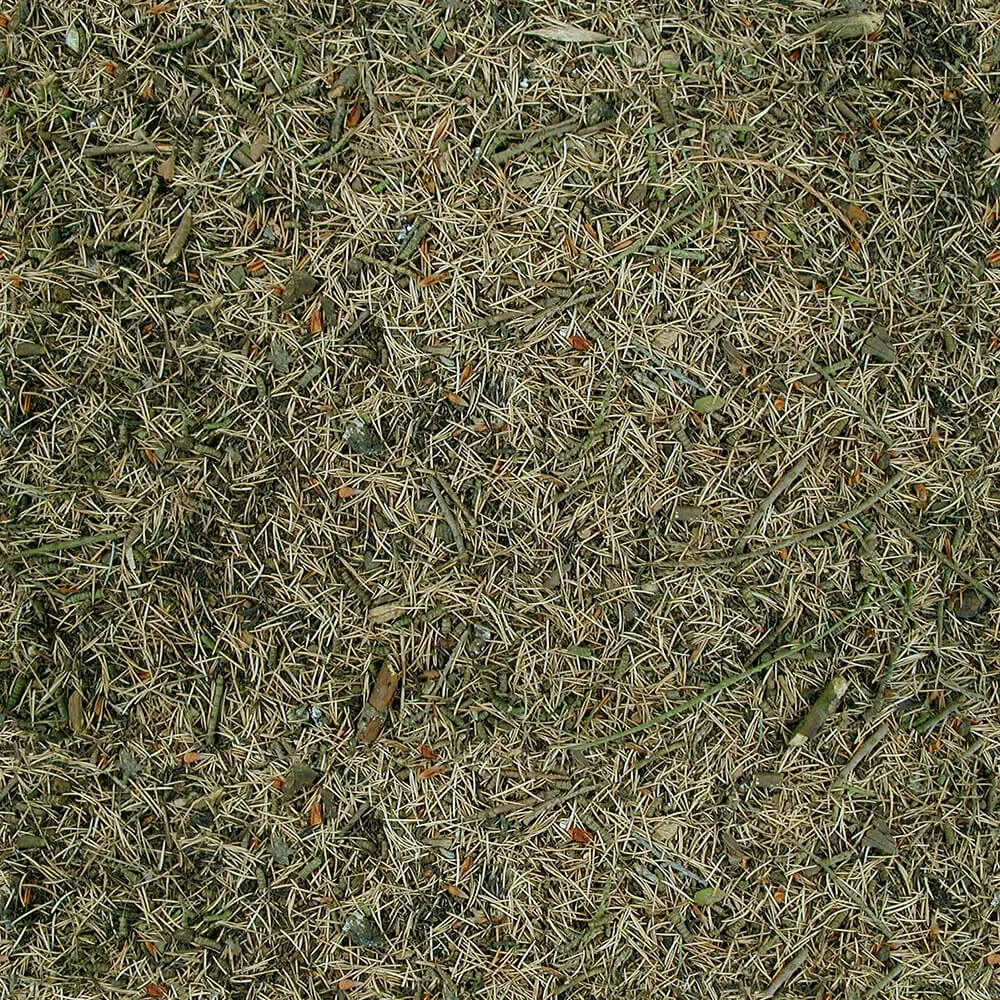 textures – Organic 21 3D Model textures – Organic 21 3D Model