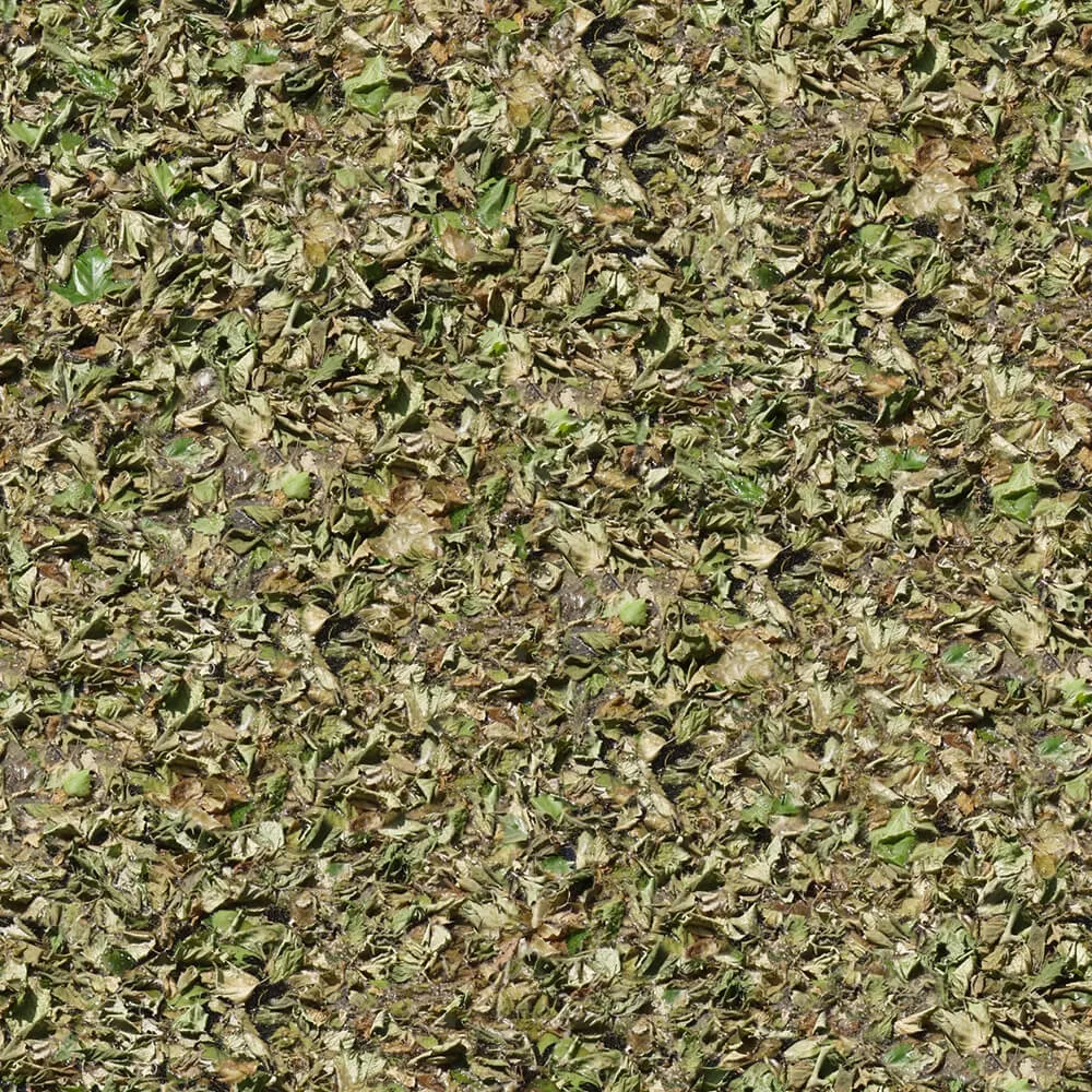 textures – Organic 22 3D Model textures – Organic 22 3D Model