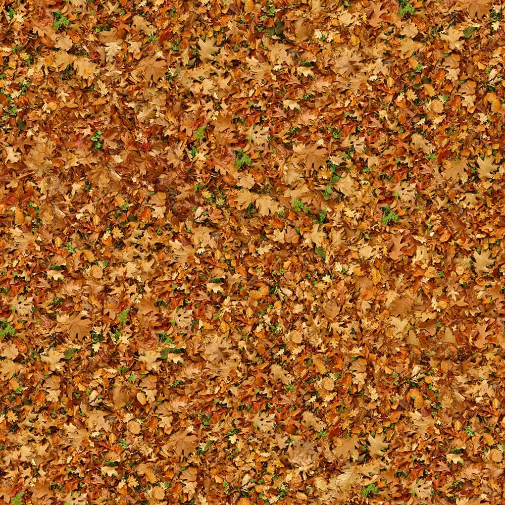 textures – Organic 23 3D Model textures – Organic 23 3D Model