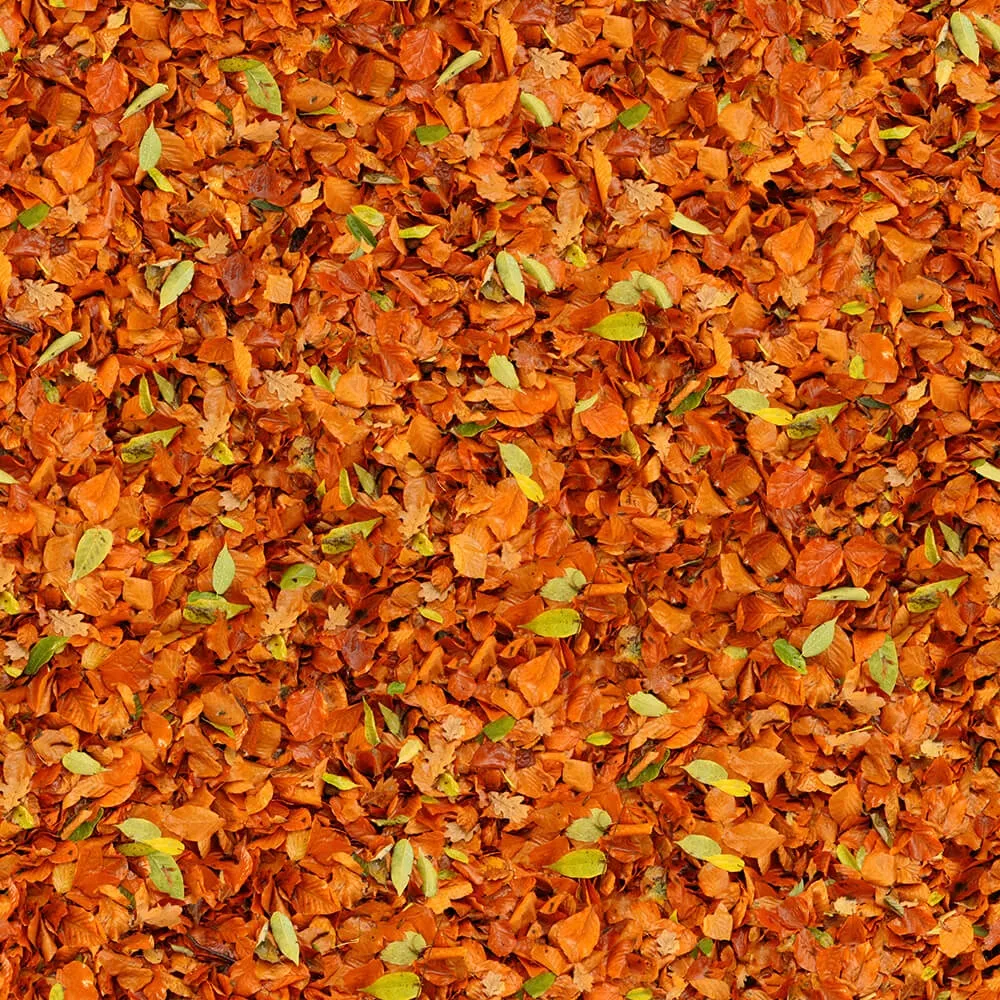 textures – Organic 25 3D Model