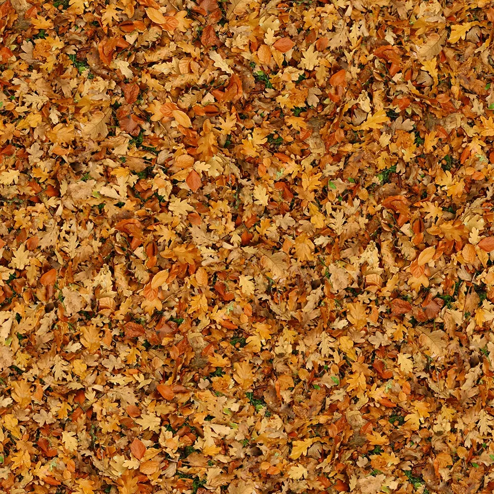 textures – Organic 28 3D Model textures – Organic 28 3D Model