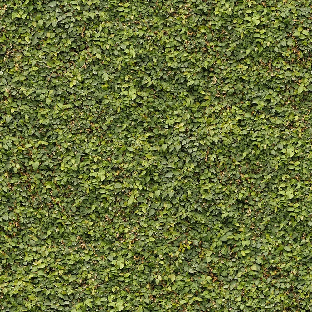 textures – Organic 31 3D Model