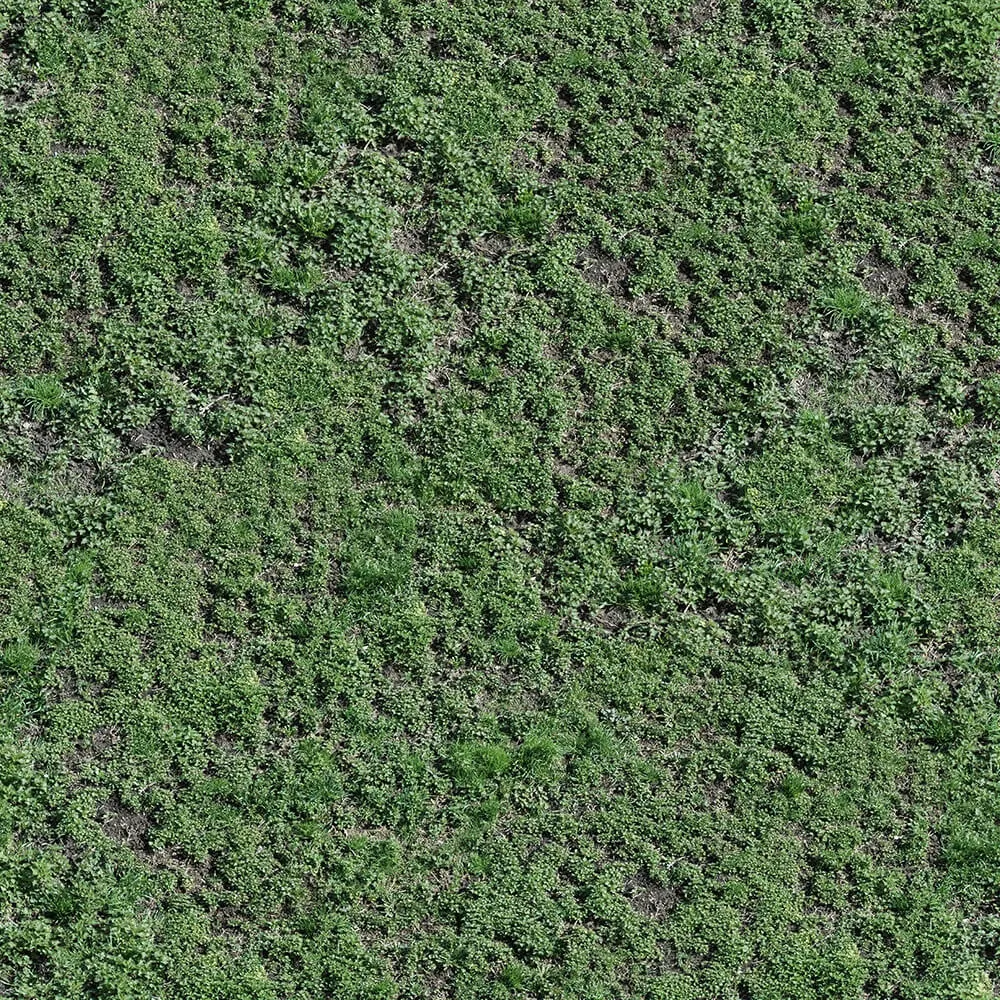 textures – Organic 34 3D Model