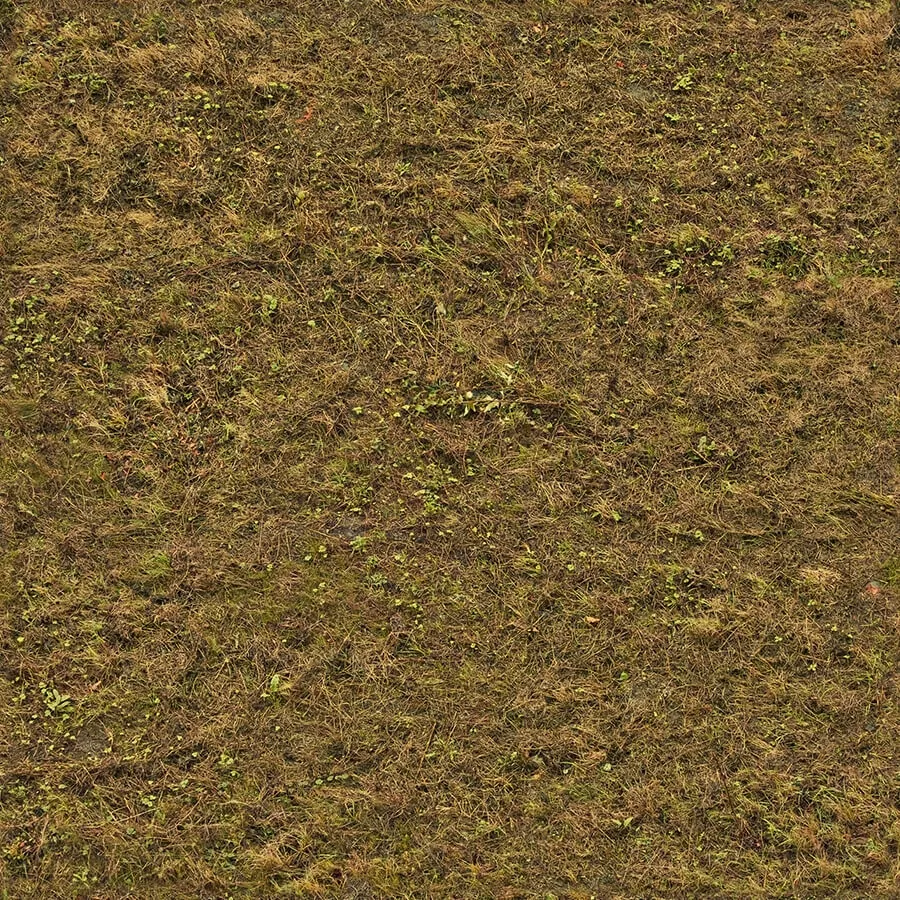 textures – Organic 37 3D Model