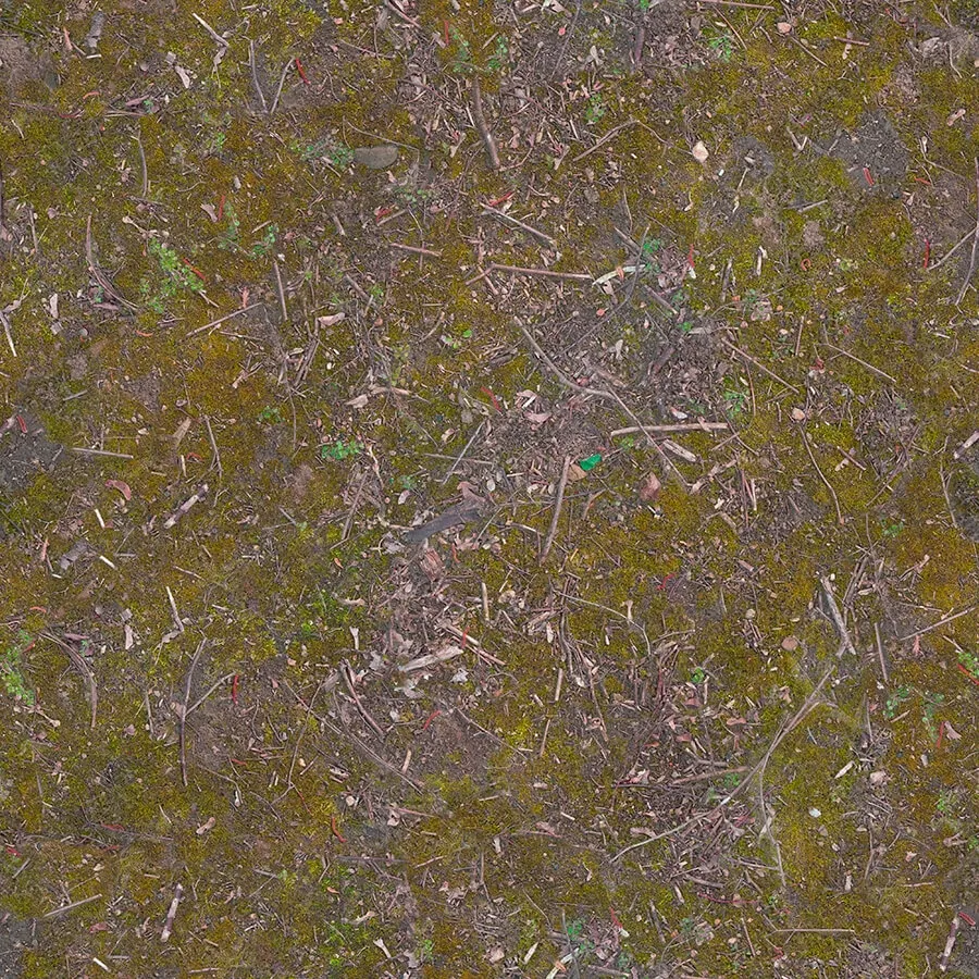 textures – Organic 40 3D Model textures – Organic 40 3D Model