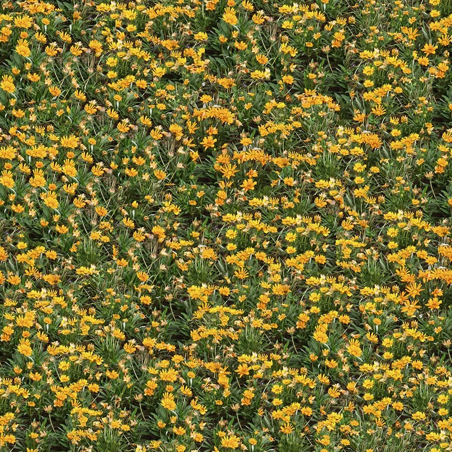 textures – Organic 43 3D Model