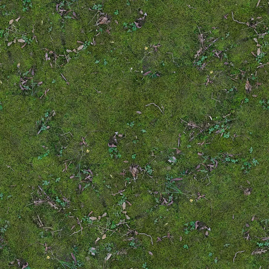 textures – Organic 48 3D Model