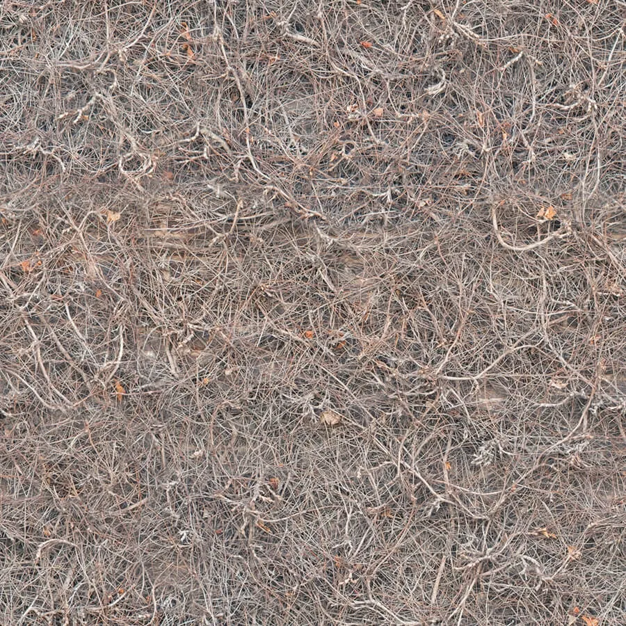 textures – Organic 53 3D Model