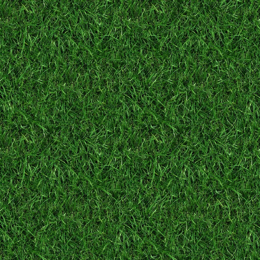 textures – Organic 59 3D Model