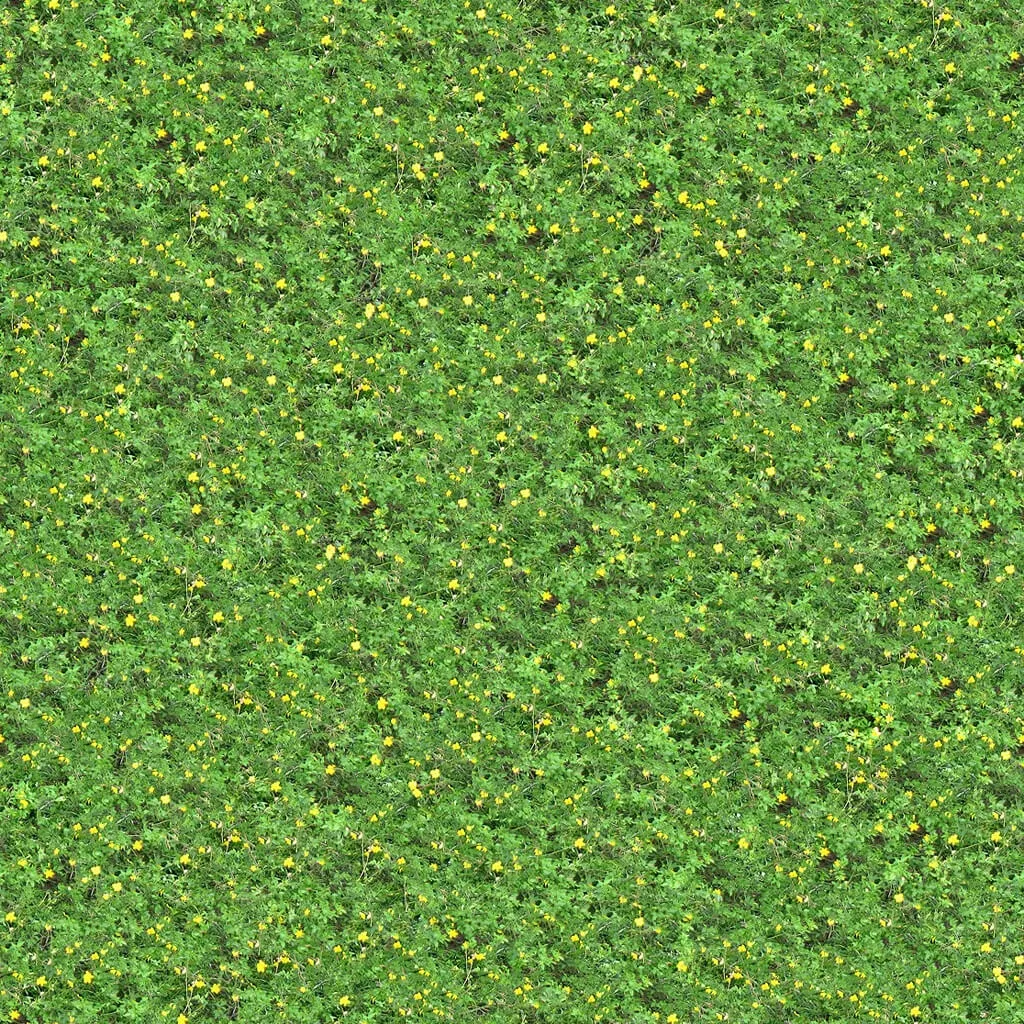 textures – Organic 6 3D Model textures – Organic 6 3D Model