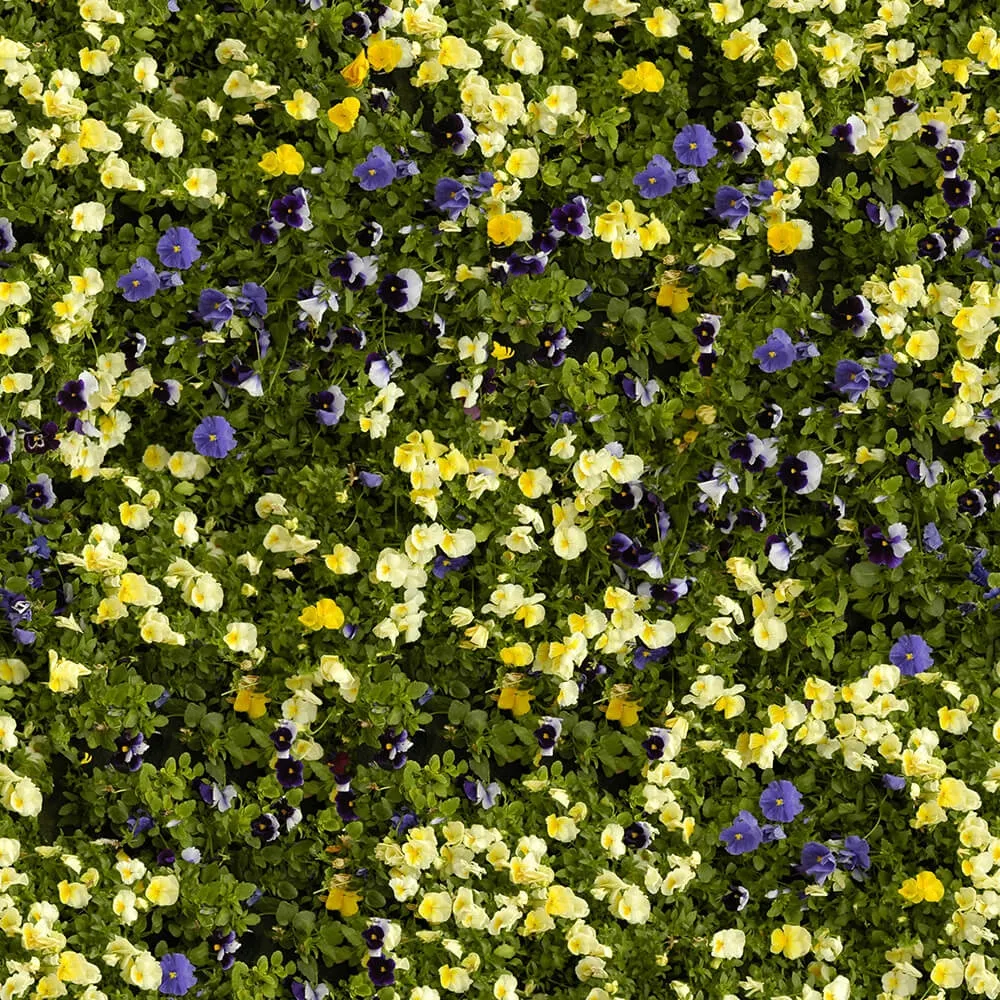 textures – Organic 8 3D Model textures – Organic 8 3D Model