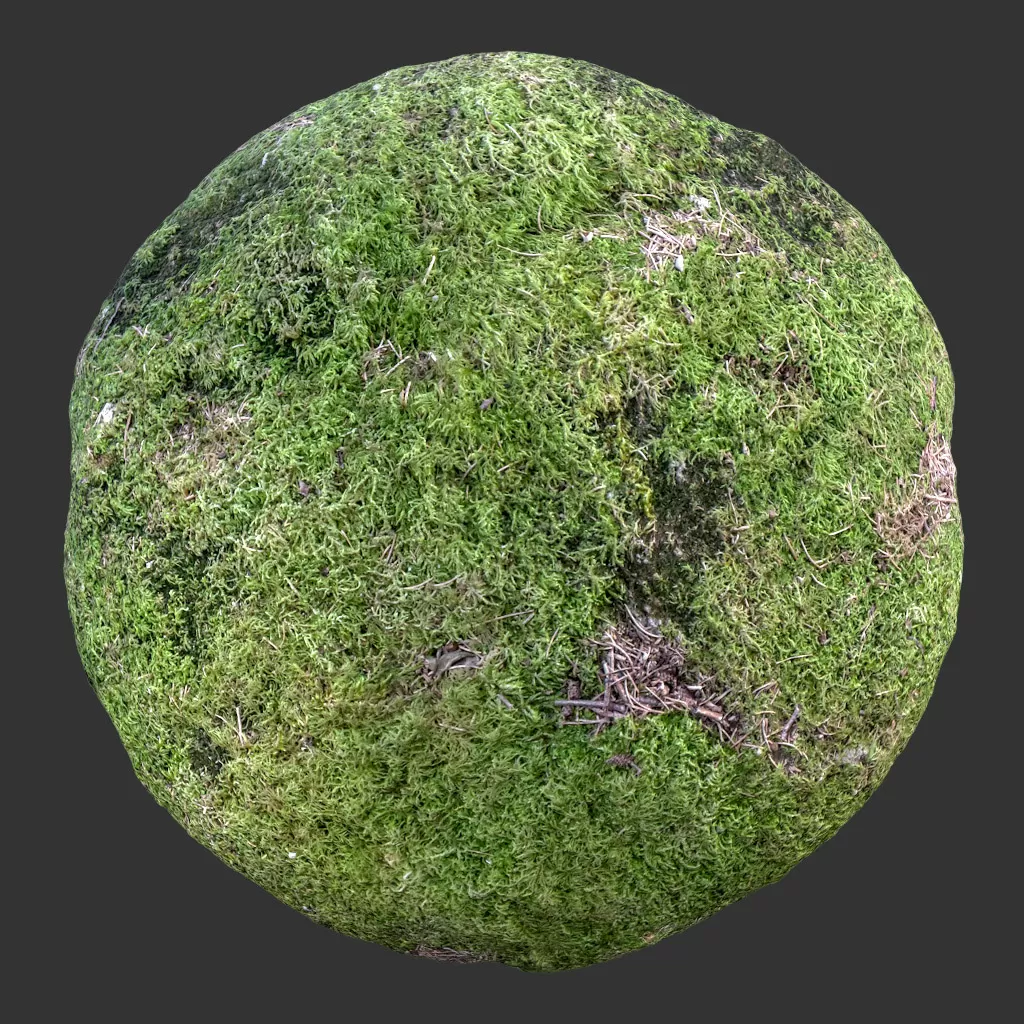 TEXTURES – STONES – BRICK – RockMossyFull 006 TEXTURES – STONES – BRICK – RockMossyFull 006